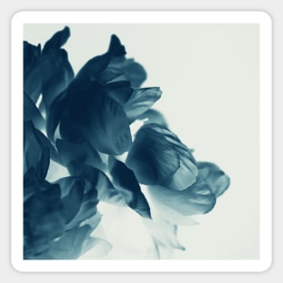 Blue Paeonia #6 Sticker